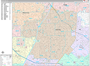 Santa Ana  Wall Map Premium Style